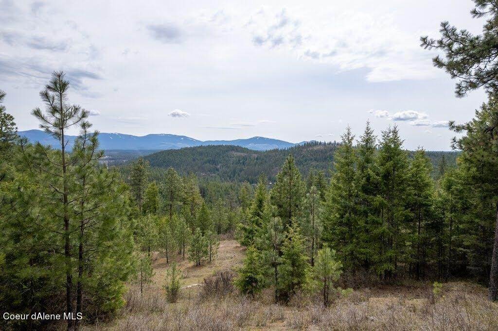 16. Land for Sale at Lot 7 Kelso Woods Drive Athol, Idaho 83801 United States
