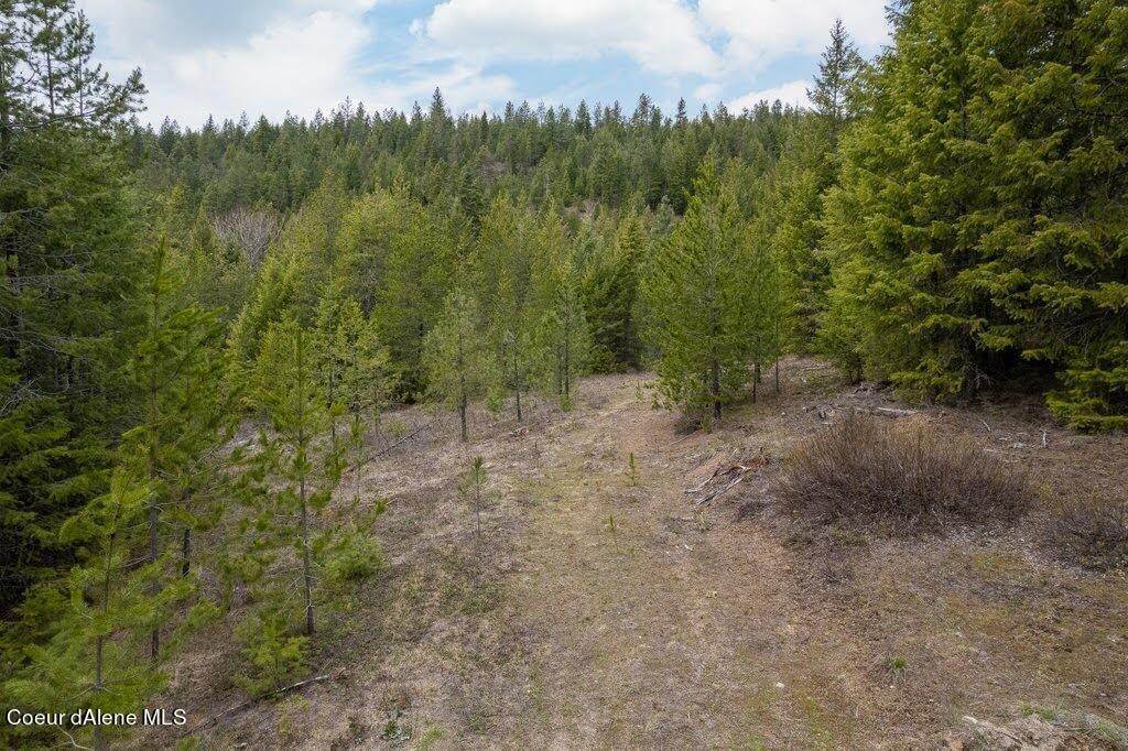 33. Land for Sale at Lot 7 Kelso Woods Drive Athol, Idaho 83801 United States