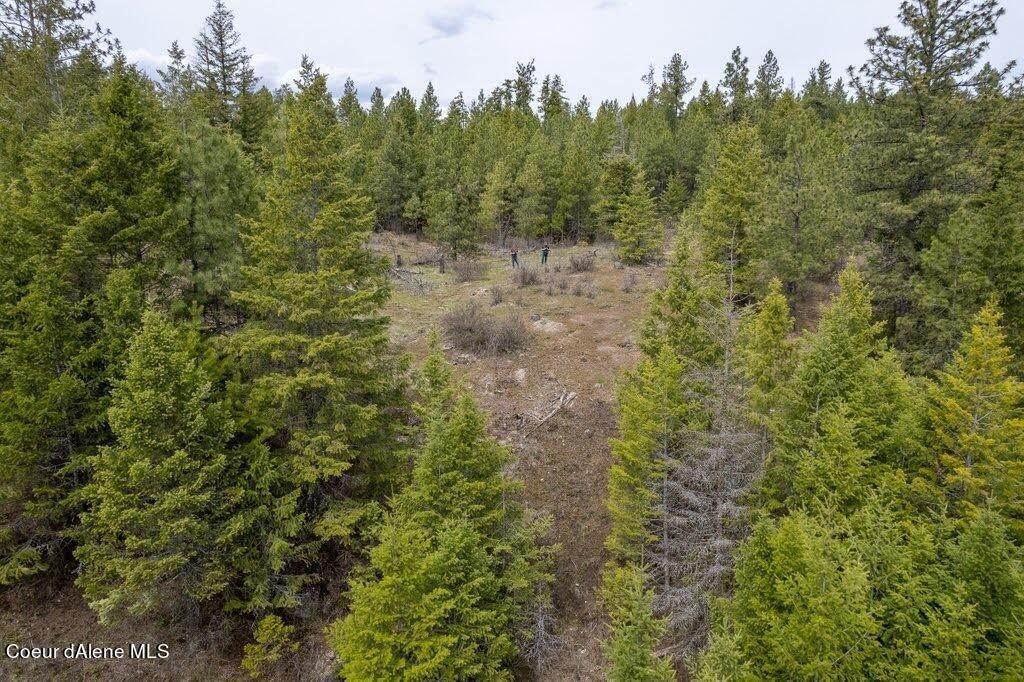 15. Land for Sale at Lot 1 Kelso Woods Drive Athol, Idaho 83801 United States