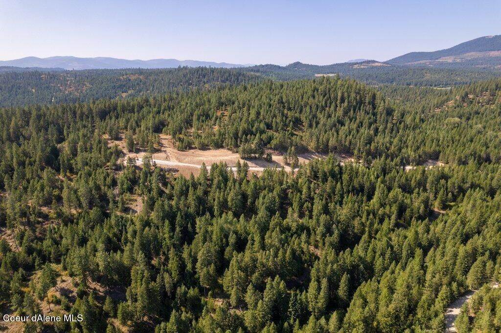 44. Land for Sale at Lot 3 Kelso Woods Drive Athol, Idaho 83801 United States
