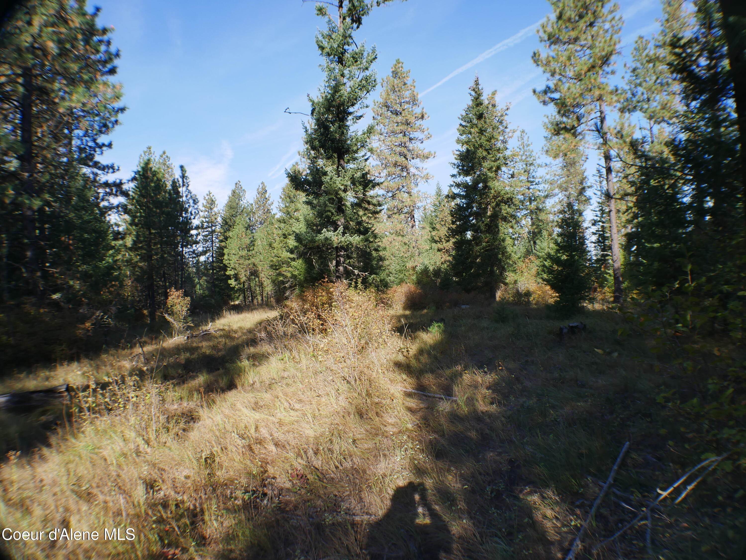 8. Land for Sale at Parcel 5 Mutch Creek Road St. Maries, Idaho 83861 United States