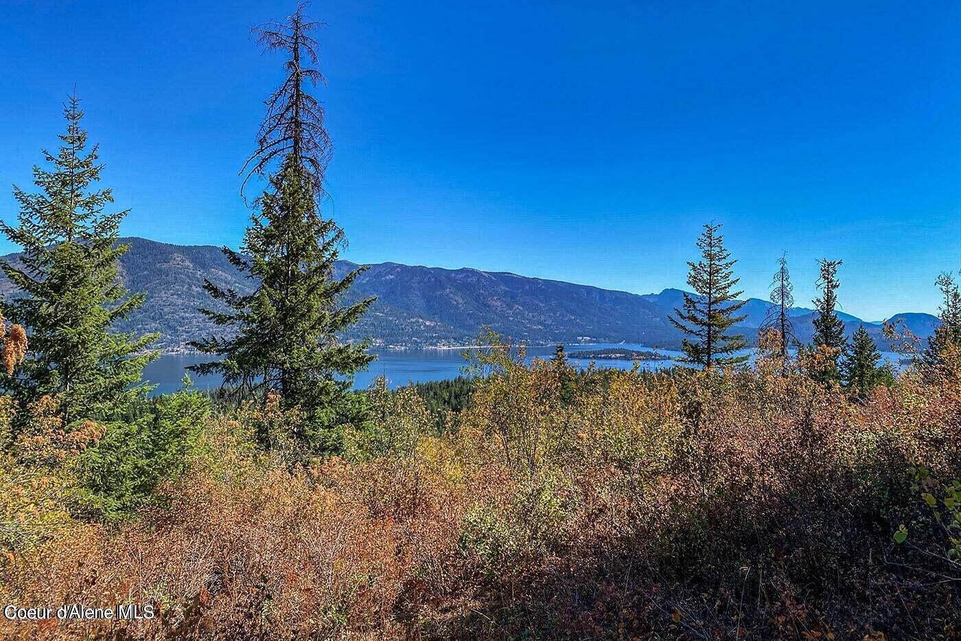 26. Land for Sale at Terrys Ln Lot 4 Sagle, Idaho 83860 United States
