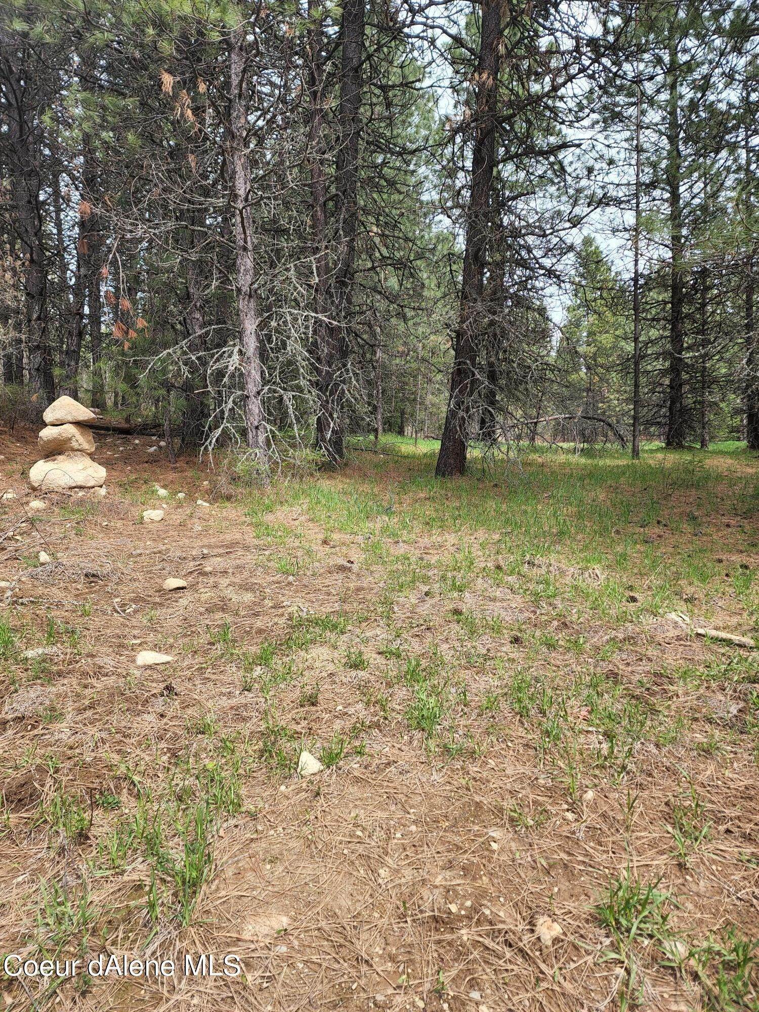 1. Land for Sale at NNA Wrenco Hills Lot 4 Sandpoint, Idaho 83864 United States