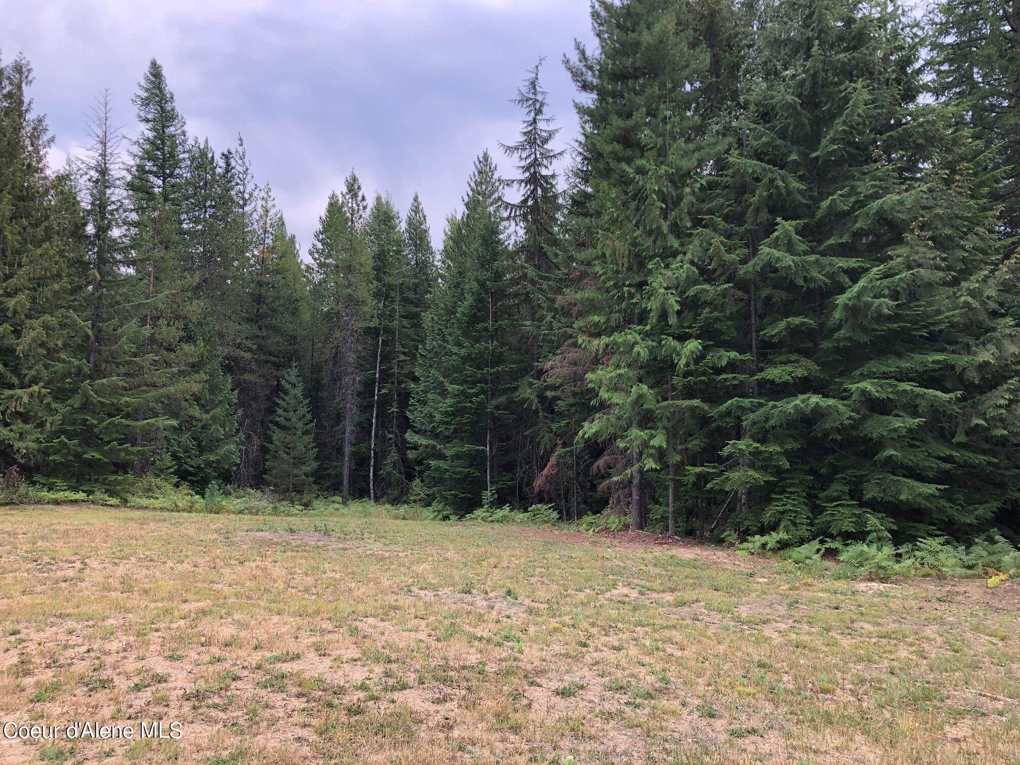 8. Land for Sale at 108 Stellar Drive Sandpoint, Idaho 83864 United States