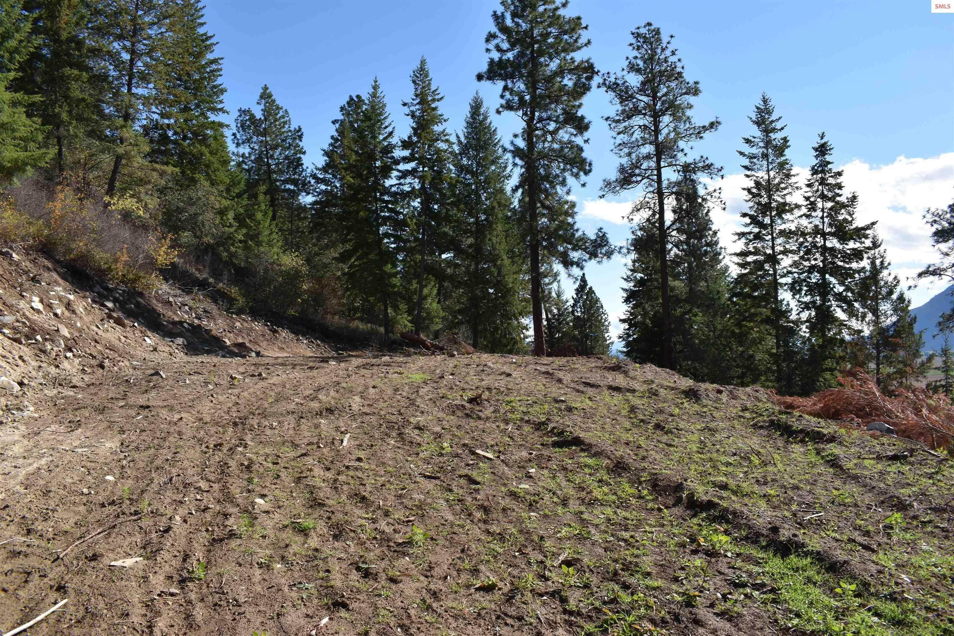 19. Land for Sale at 7121 Farm to Market Road Bonners Ferry, Idaho 83805 United States