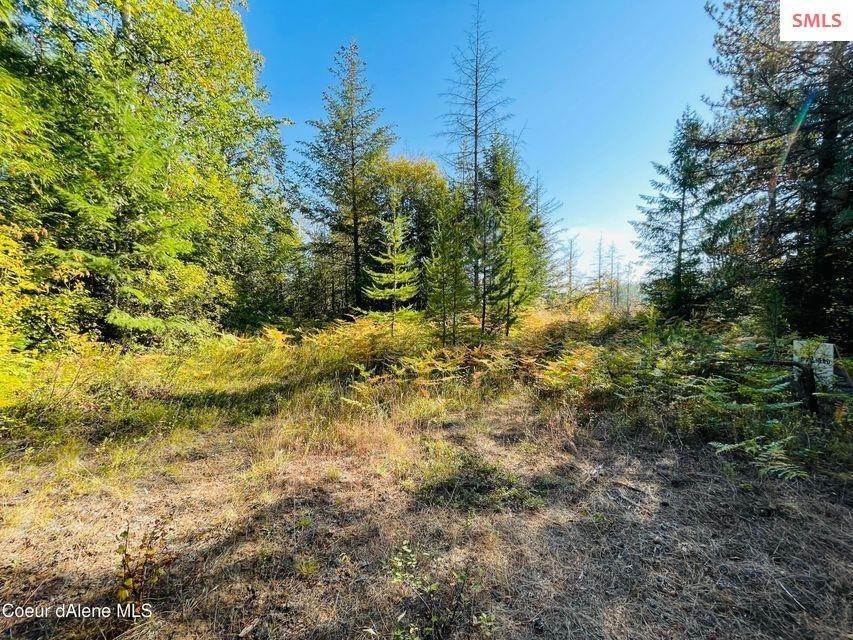17. Land for Sale at NNA Hwy 95 Cocolalla, Idaho 83813 United States