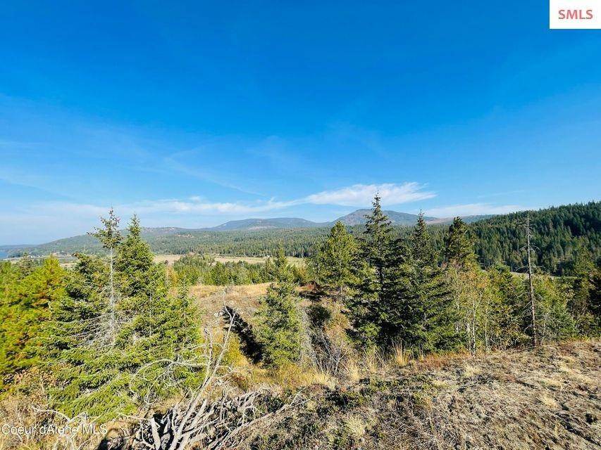 15. Land for Sale at NNA Hwy 95 Cocolalla, Idaho 83813 United States