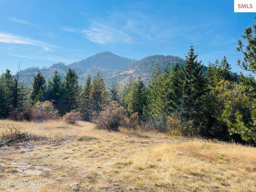 25. Land for Sale at NNA Hwy 95 Cocolalla, Idaho 83813 United States