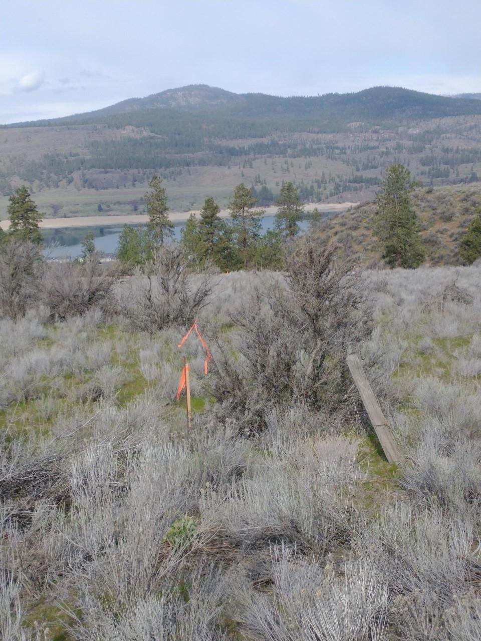 Land for Sale at 42470 Deer Heights Drive North Drive Deer Meadows, Washington 99122 United States