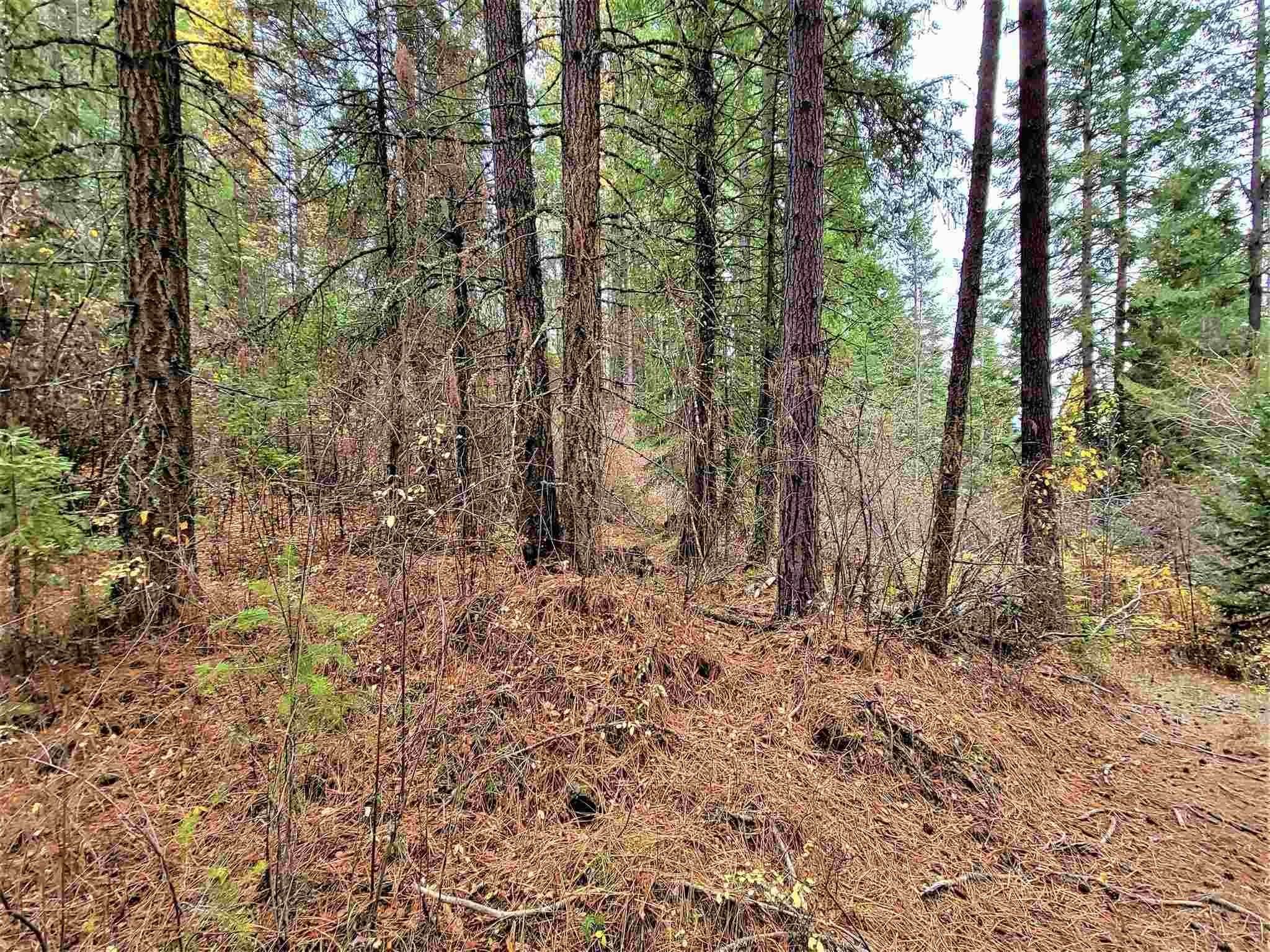7. Land for Sale at Nna Spring Hill Road Newport, Washington 99156 United States