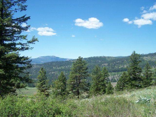 Land for Sale at Lot 29 Gold Mountain Ranches Road Republic, Washington 99166 United States