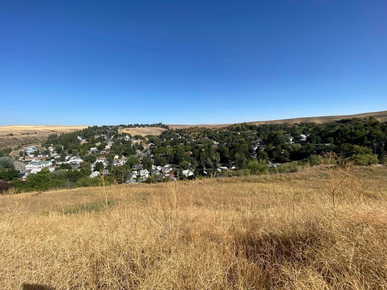 5. Land for Sale at Tbd Scenic View (Lot 5) Drive Colfax, Washington 99111 United States