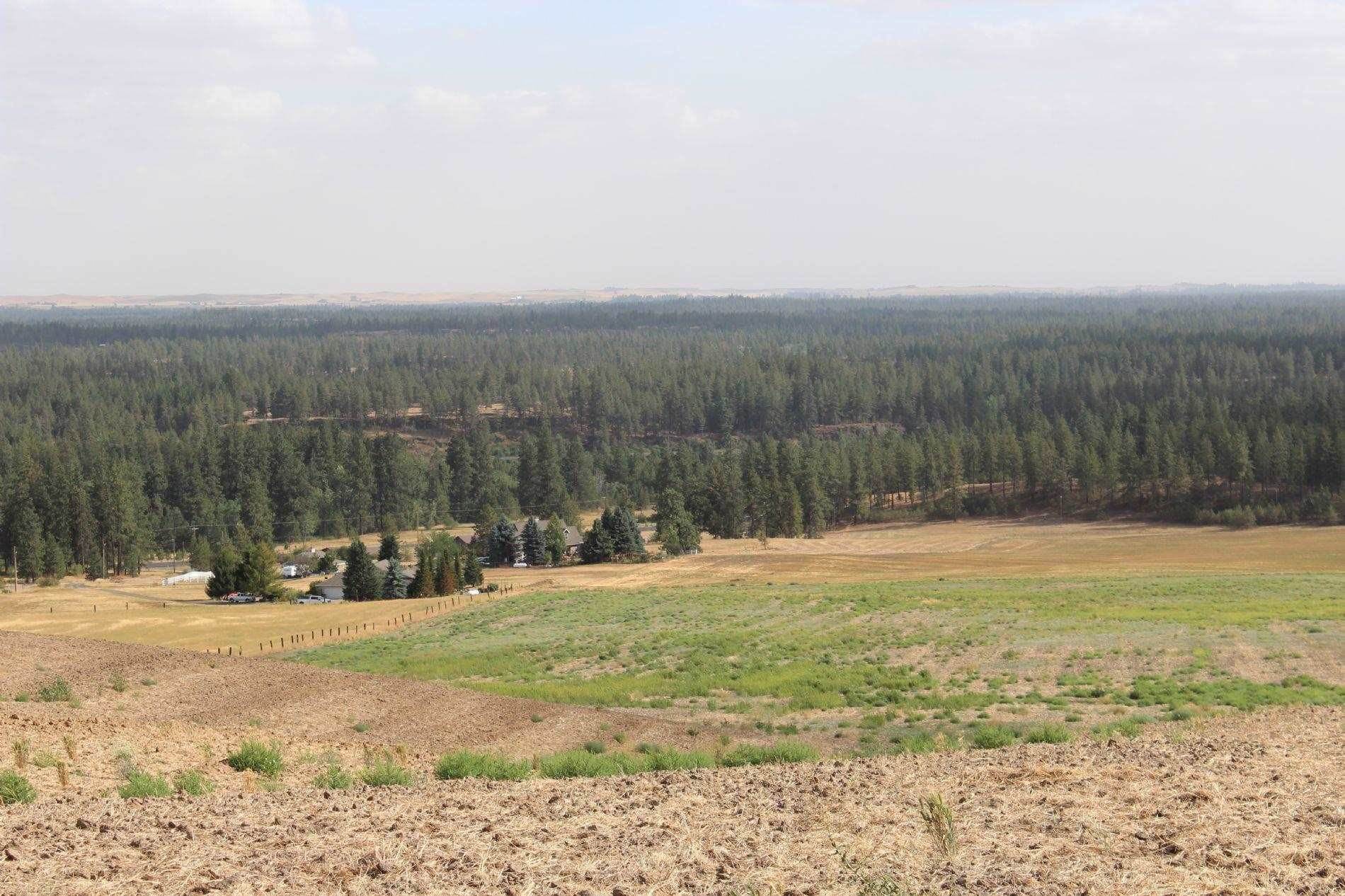16. Land for Sale at 14711 S Andrus Road Cheney, Washington 99004 United States