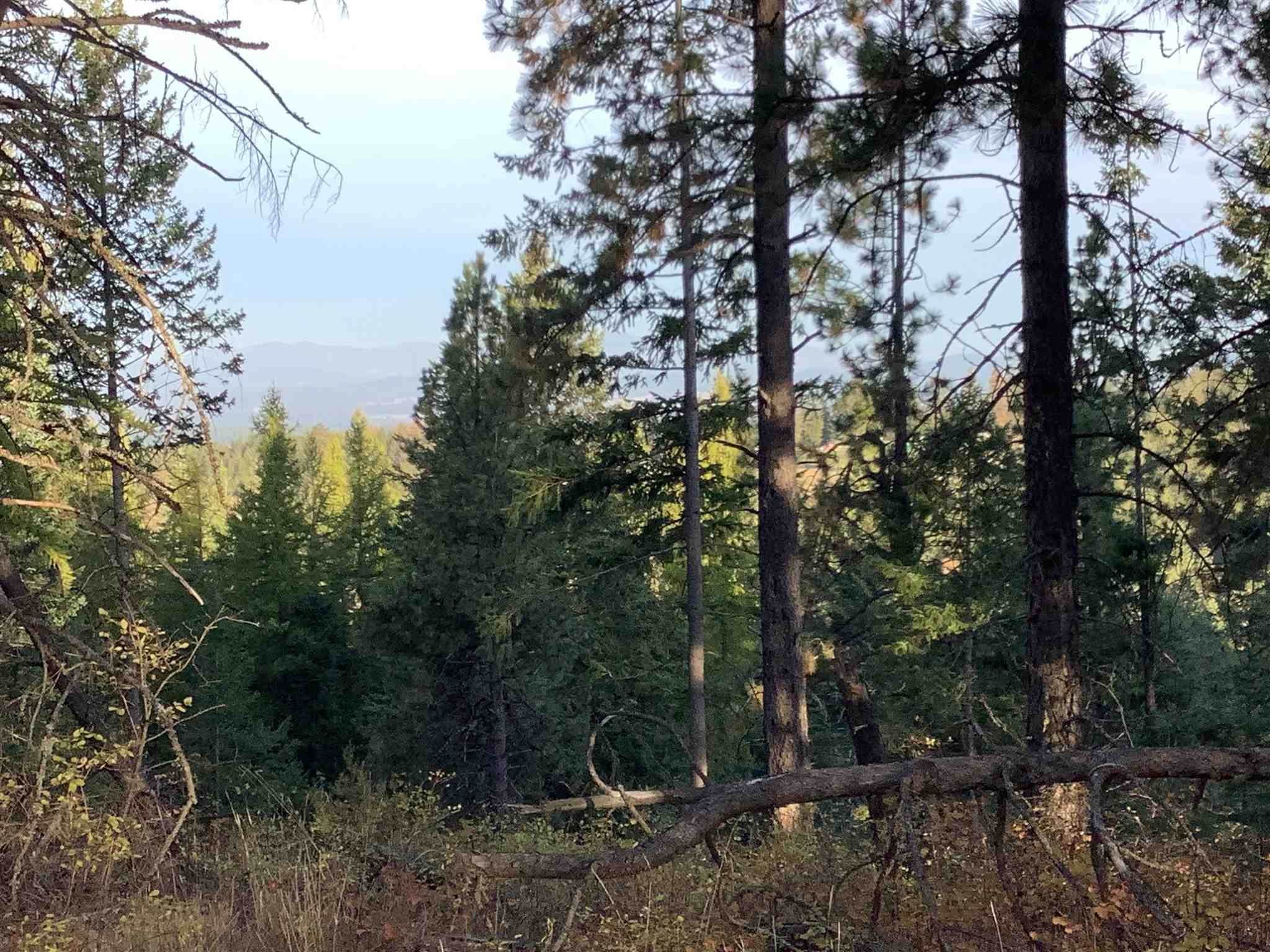 9. Land for Sale at 289xx N Conklin Road Chattaroy, Washington 99003 United States