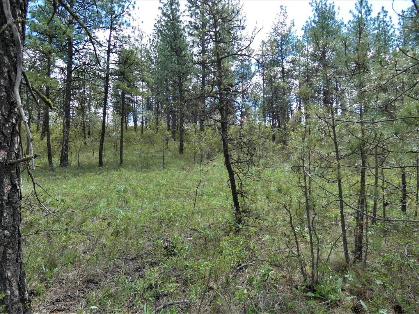 5. Land for Sale at 52xx W Depot Springs P#23275.9047 Road Cheney, Washington 99004 United States