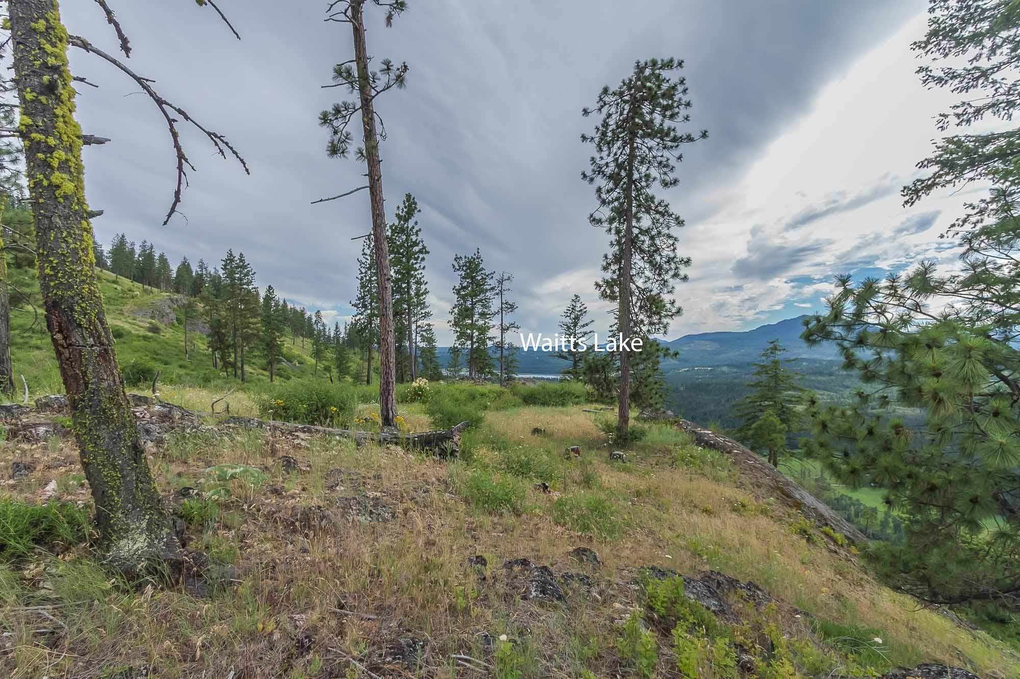 11. Land for Sale at Nna Wrights Valley Road Chewelah, Washington 99109 United States
