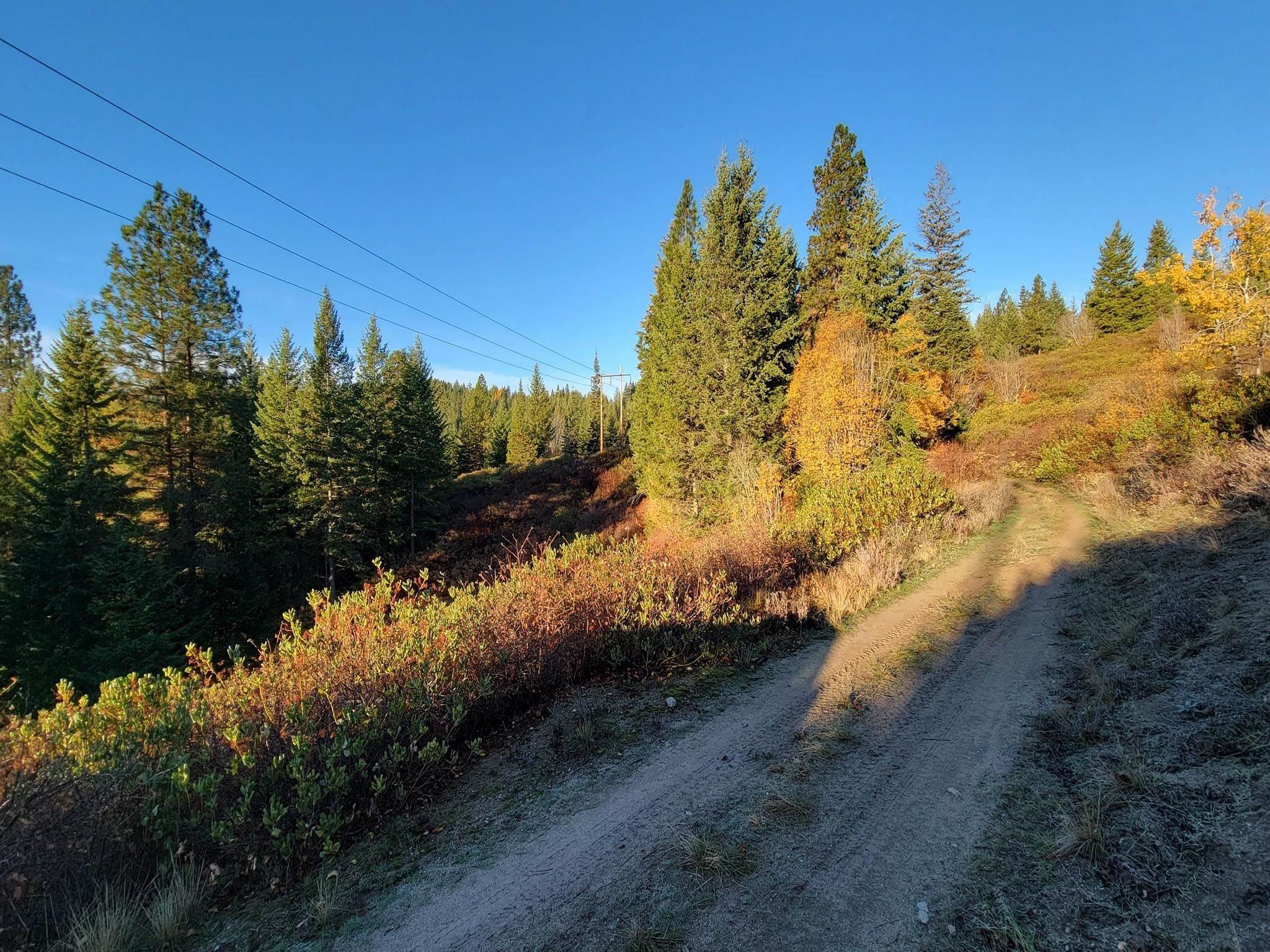 2. Land for Sale at Nkn Deer Valley - 130a Road Newport, Washington 99156 United States