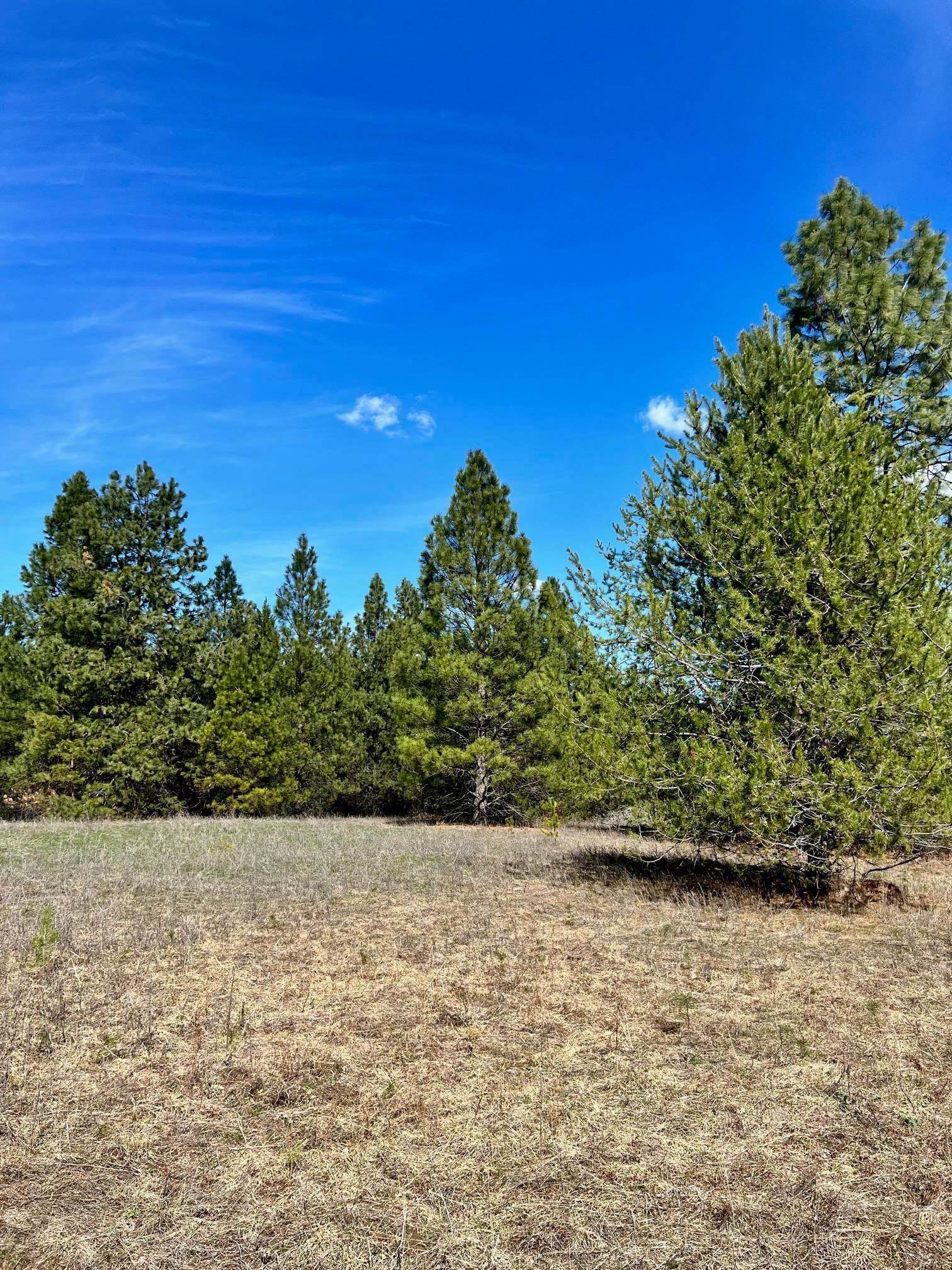 4. Land for Sale at N Spotted Road Deer Park, Washington 99006 United States
