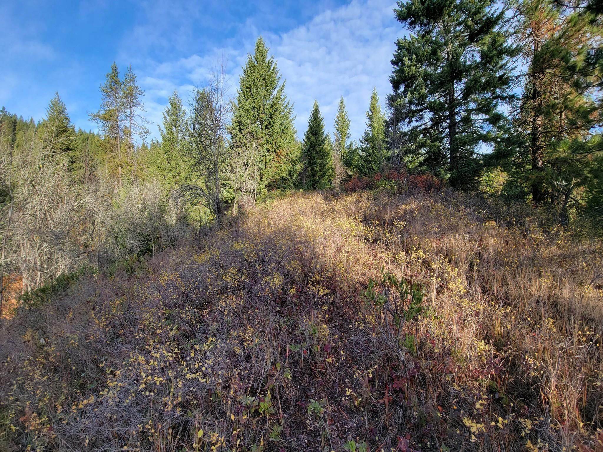 18. Land for Sale at Nkn Deer Valley - 130a Road Newport, Washington 99156 United States
