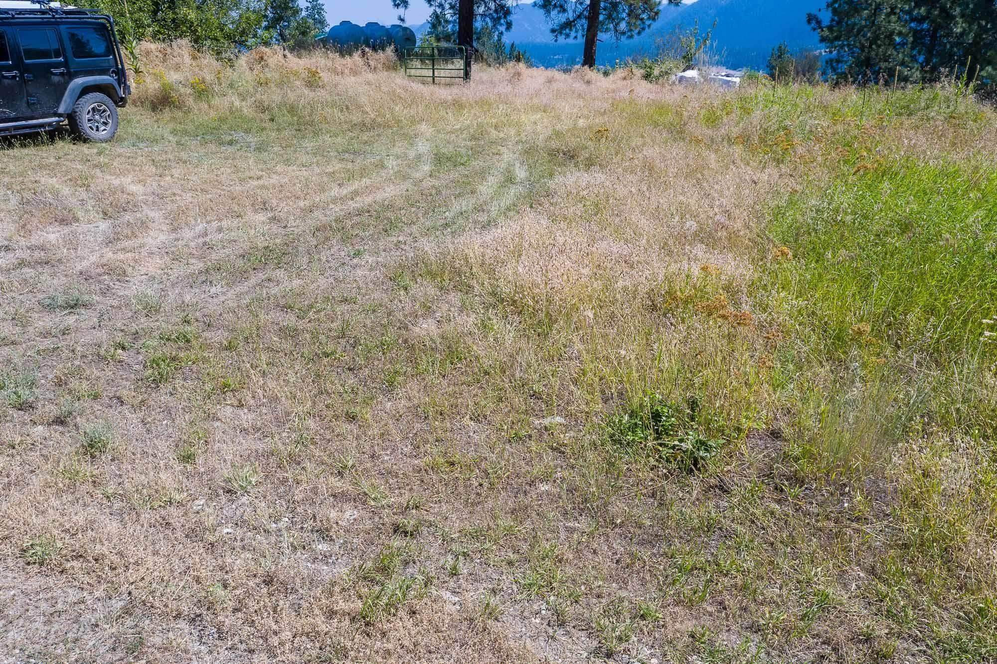 8. Land for Sale at 3589 Critter Way Kettle Falls, Washington 99141 United States