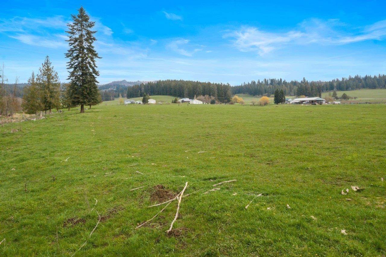 14. Land for Sale at Nna E Allen Road Elk, Washington 99009 United States