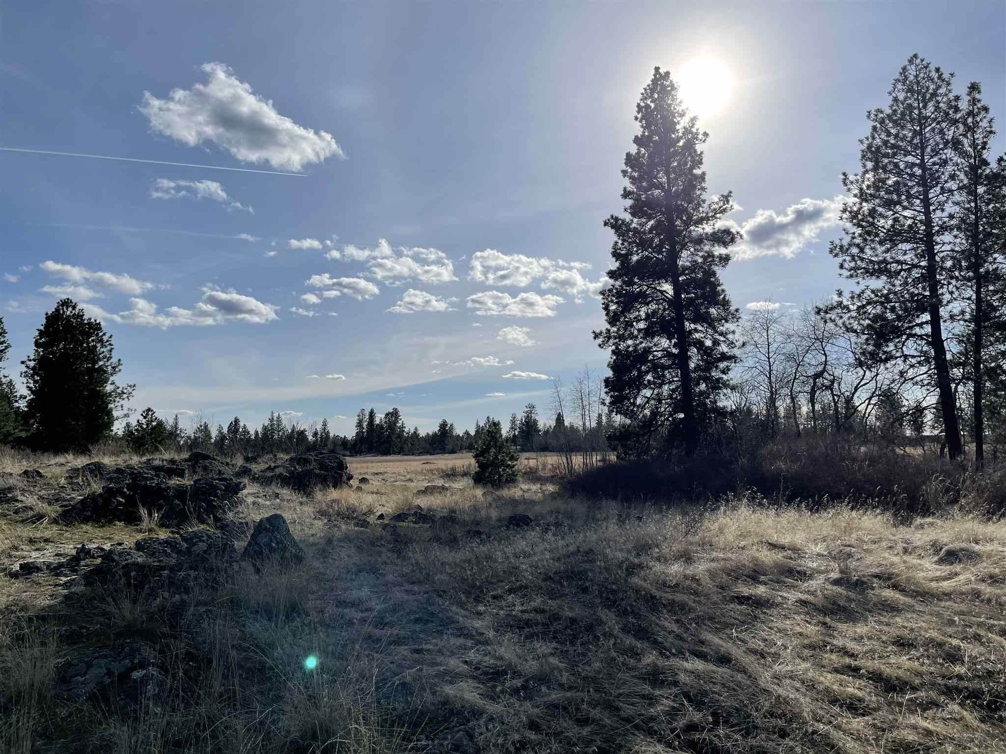 8. Land for Sale at 12000 S Meadow Road Medical Lake, Washington 99022 United States