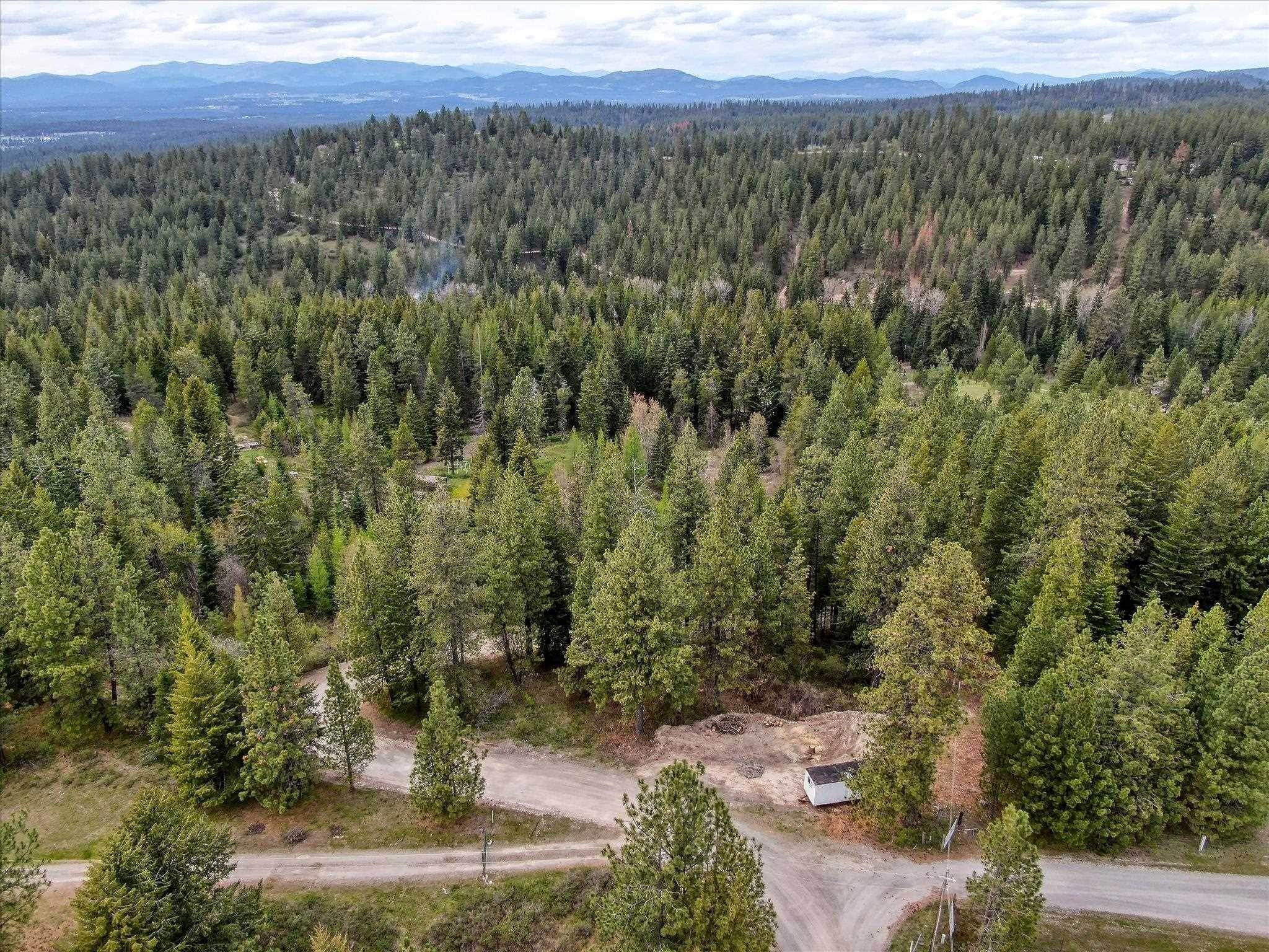 18. Land for Sale at 29110 N Conklin Road Chattaroy, Washington 99003 United States