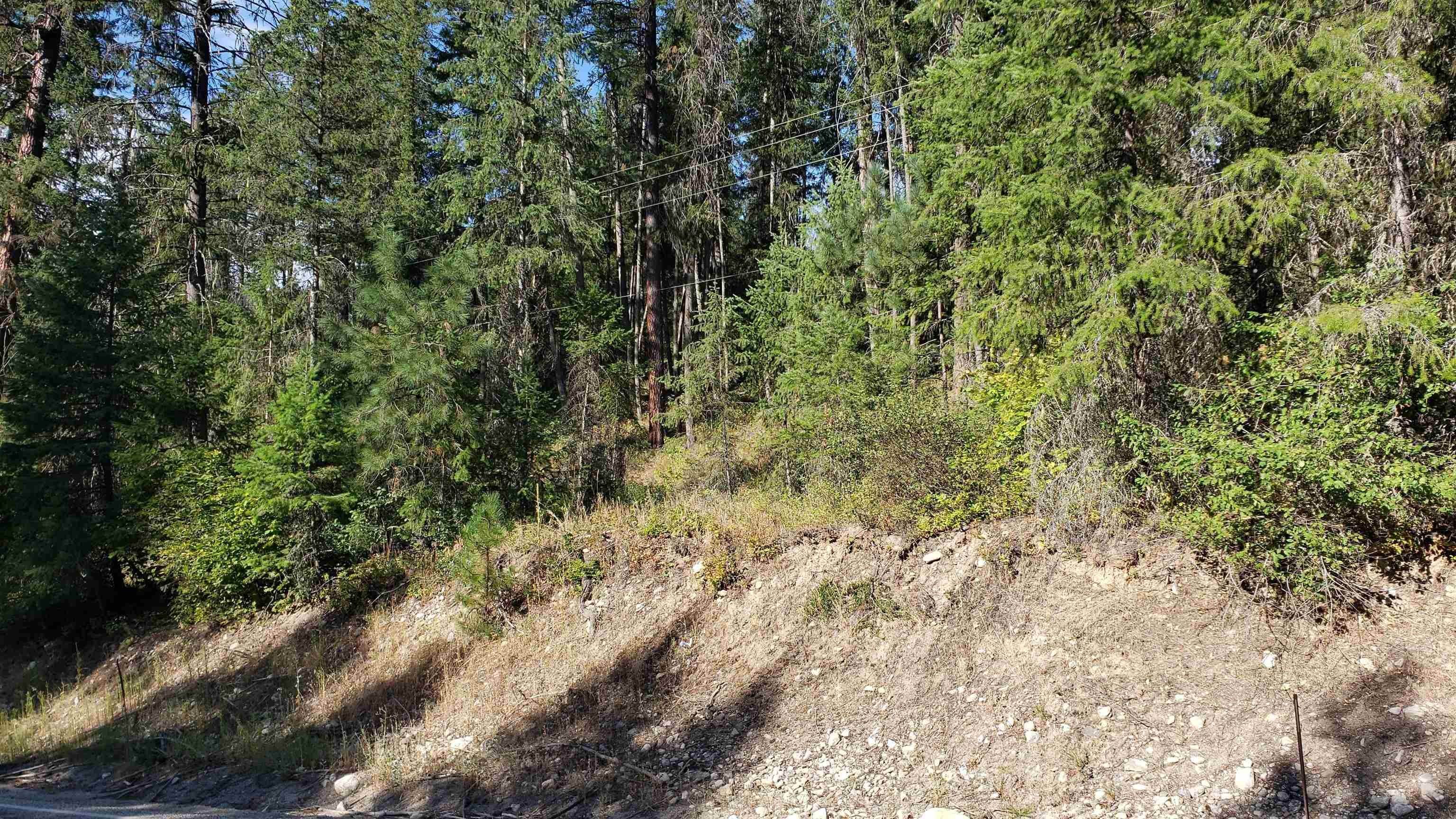 18. Land for Sale at Xxxx Hwy 395 N Hwy Orient, Washington 99160 United States