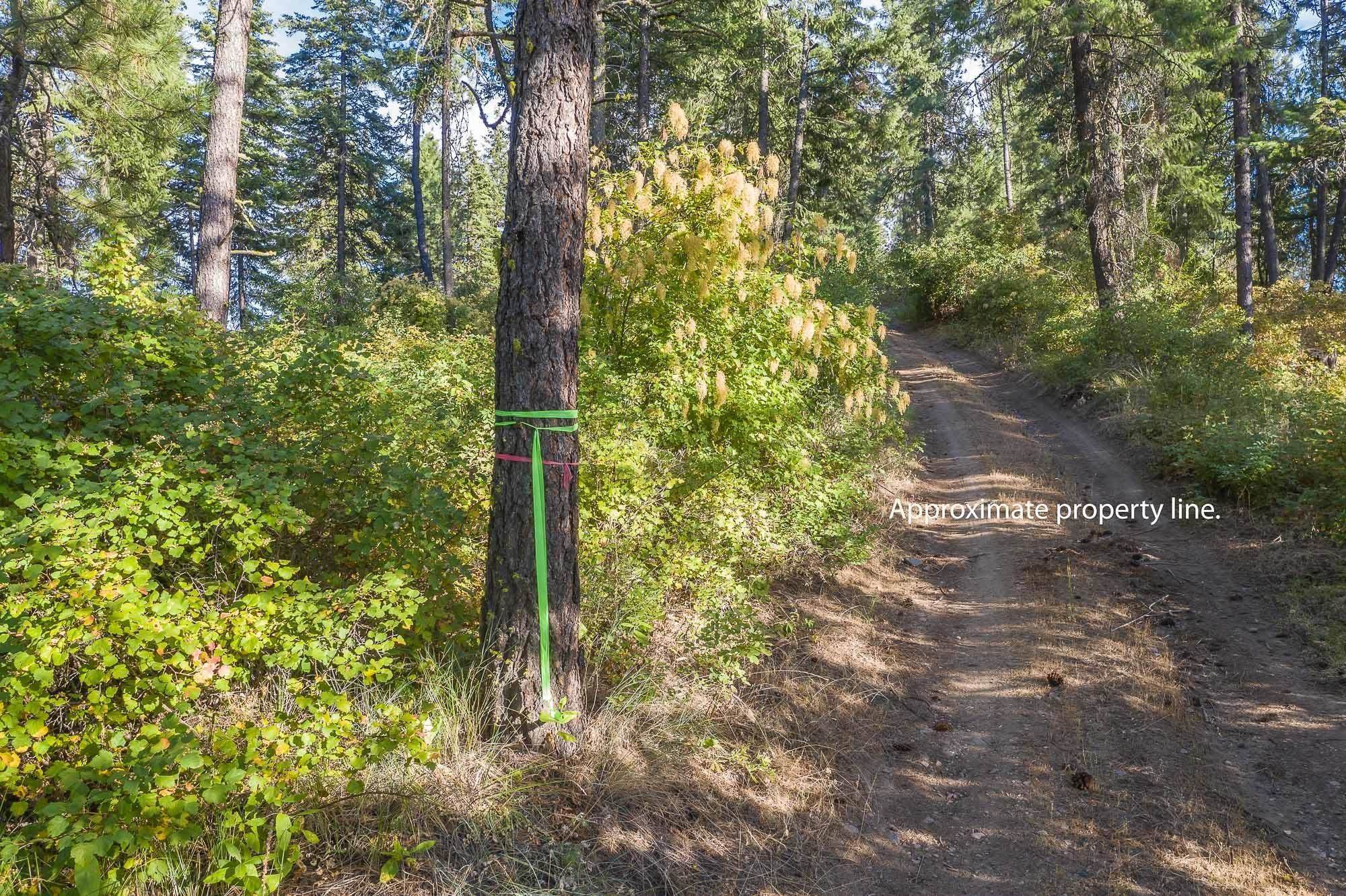 4. Land for Sale at 2800 Blk Wrights Valley Road Chewelah, Washington 99109 United States