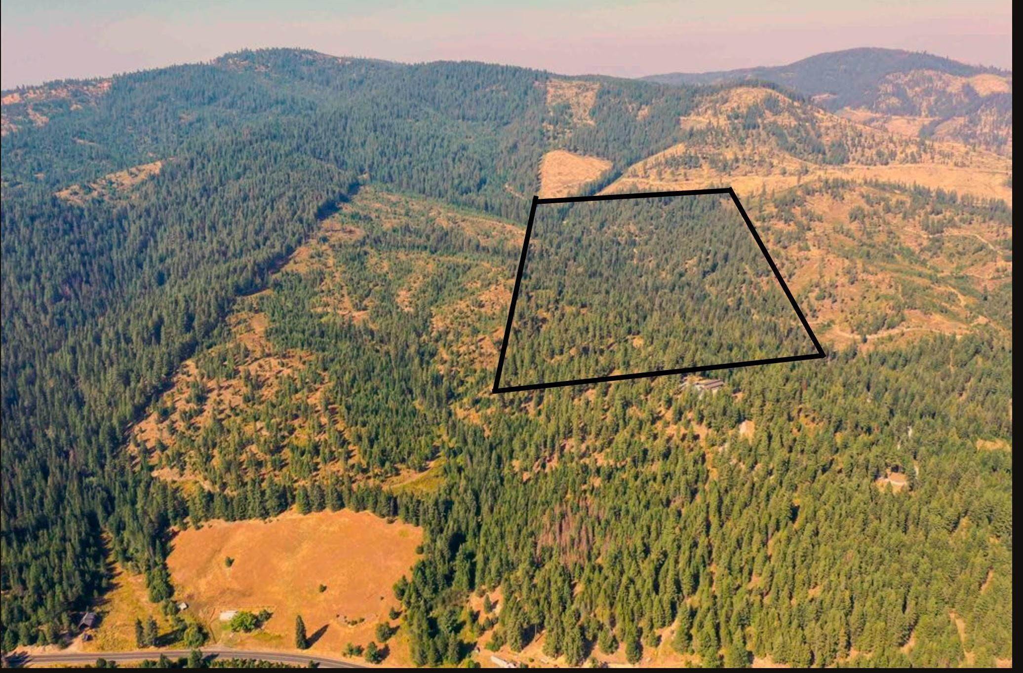 1. Land for Sale at Unknown Newport, Washington 99156 United States