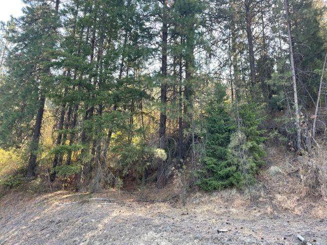 1. Land for Sale at Xxxx Bissell Road Hunters, Washington 99137 United States