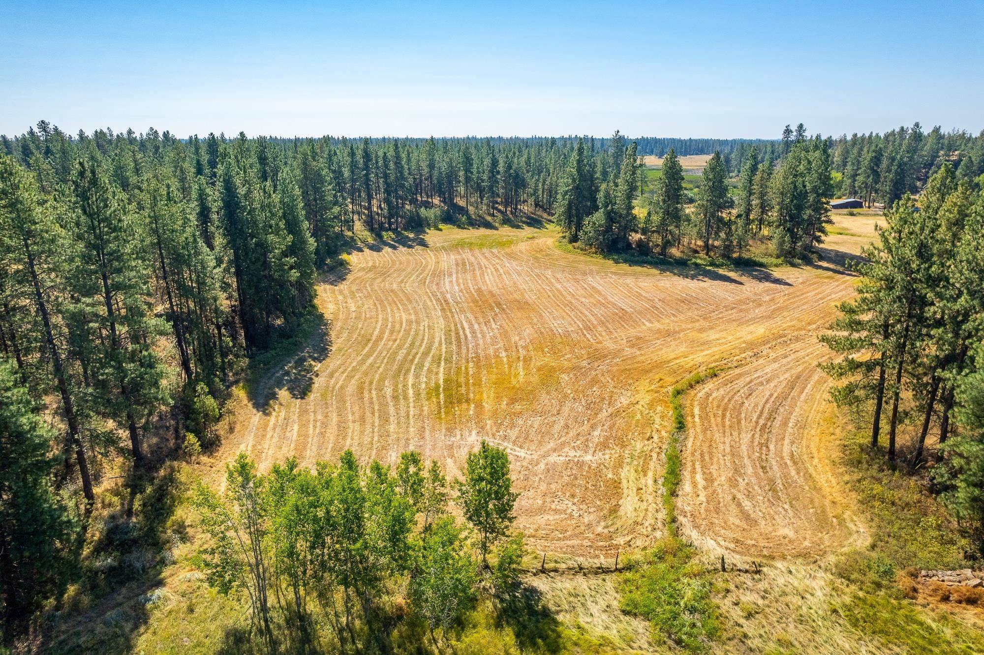 18. Land for Sale at Xxxx W Depot Springs Road Cheney, Washington 99004 United States