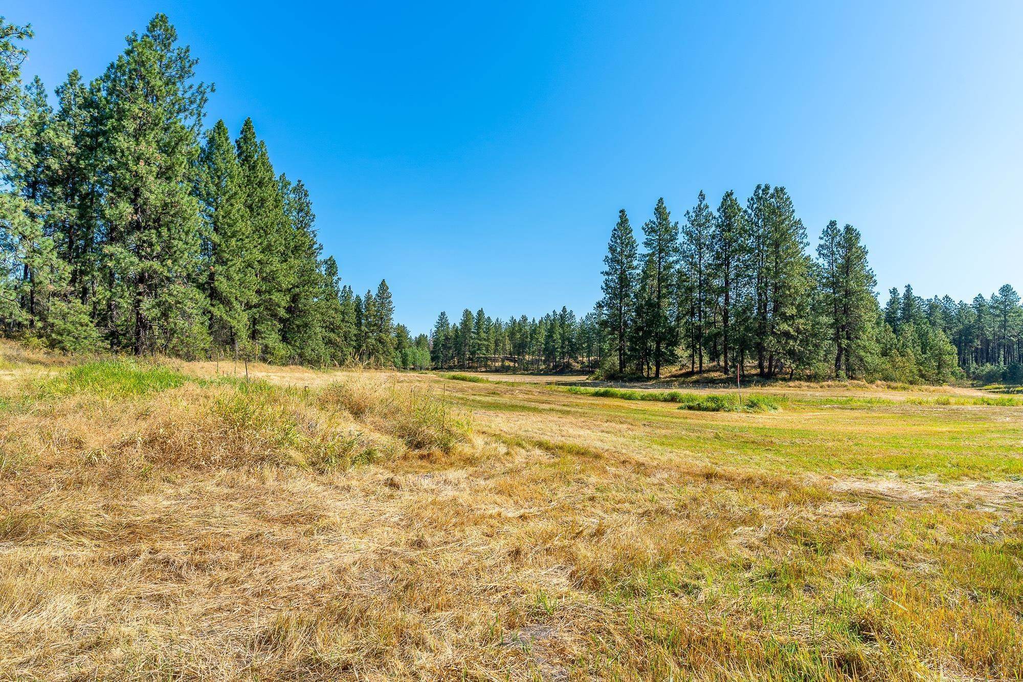 15. Land for Sale at Xxxx W Depot Springs Road Cheney, Washington 99004 United States