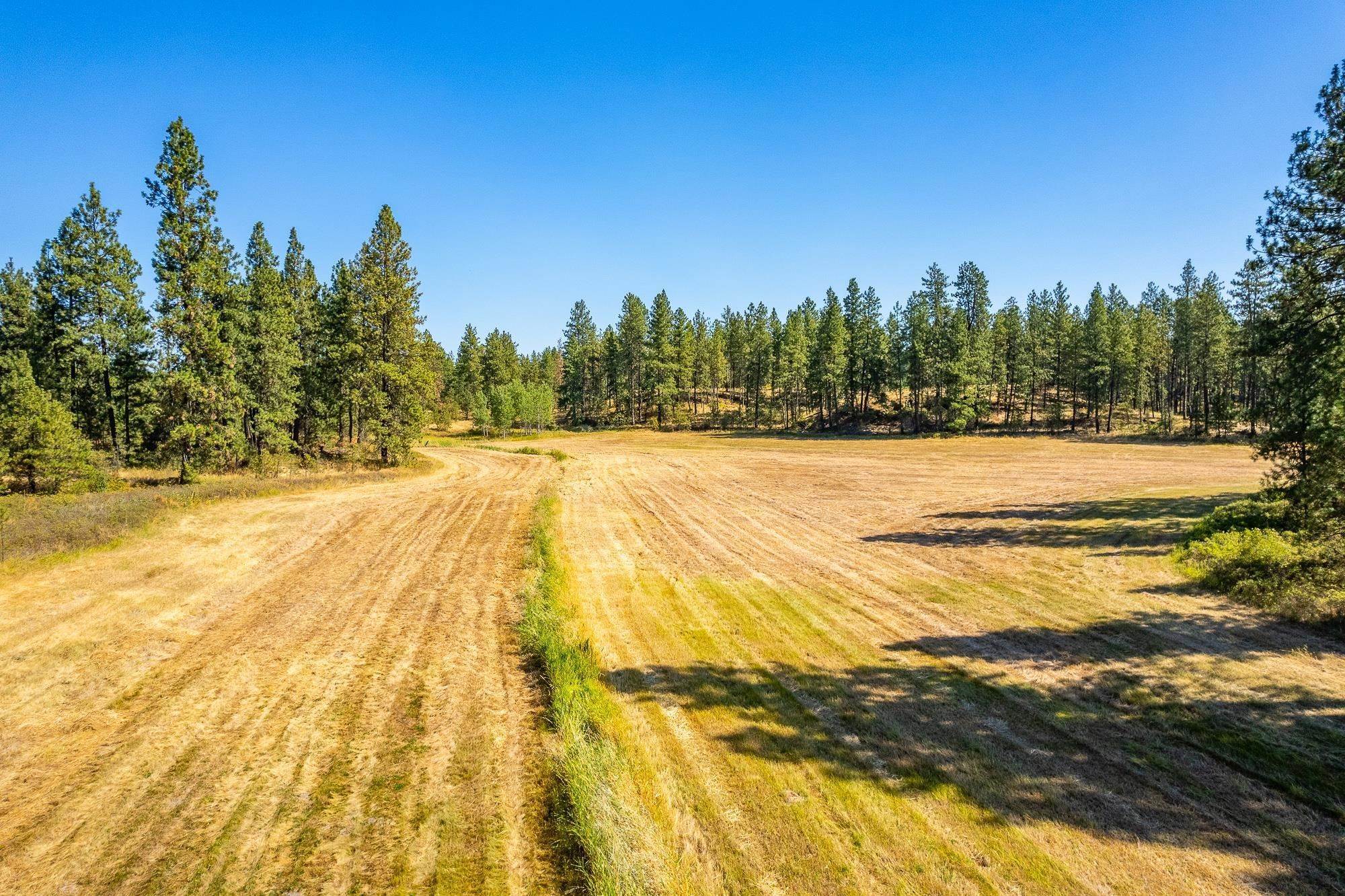 20. Land for Sale at Xxxx W Depot Springs Road Cheney, Washington 99004 United States