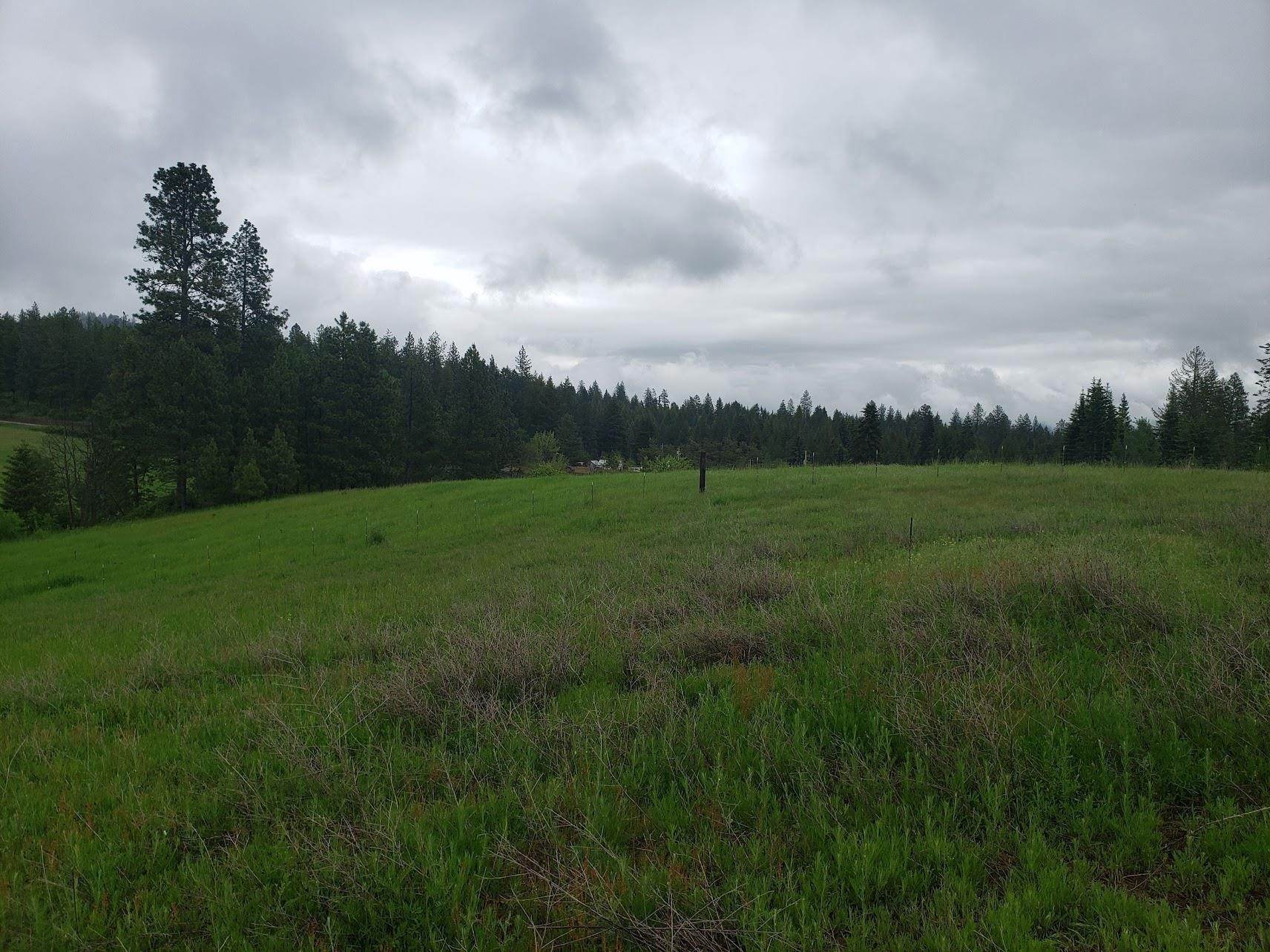 8. Land for Sale at 151 Phay Road Elk, Washington 99009 United States