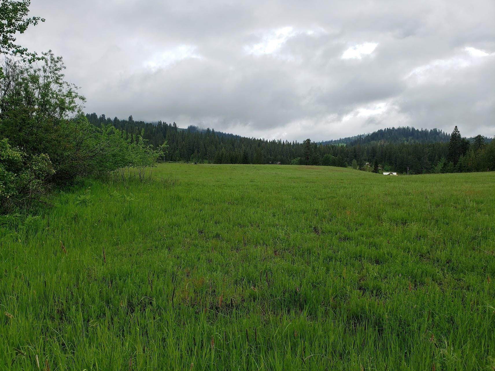 1. Land for Sale at 151 Phay Road Elk, Washington 99009 United States