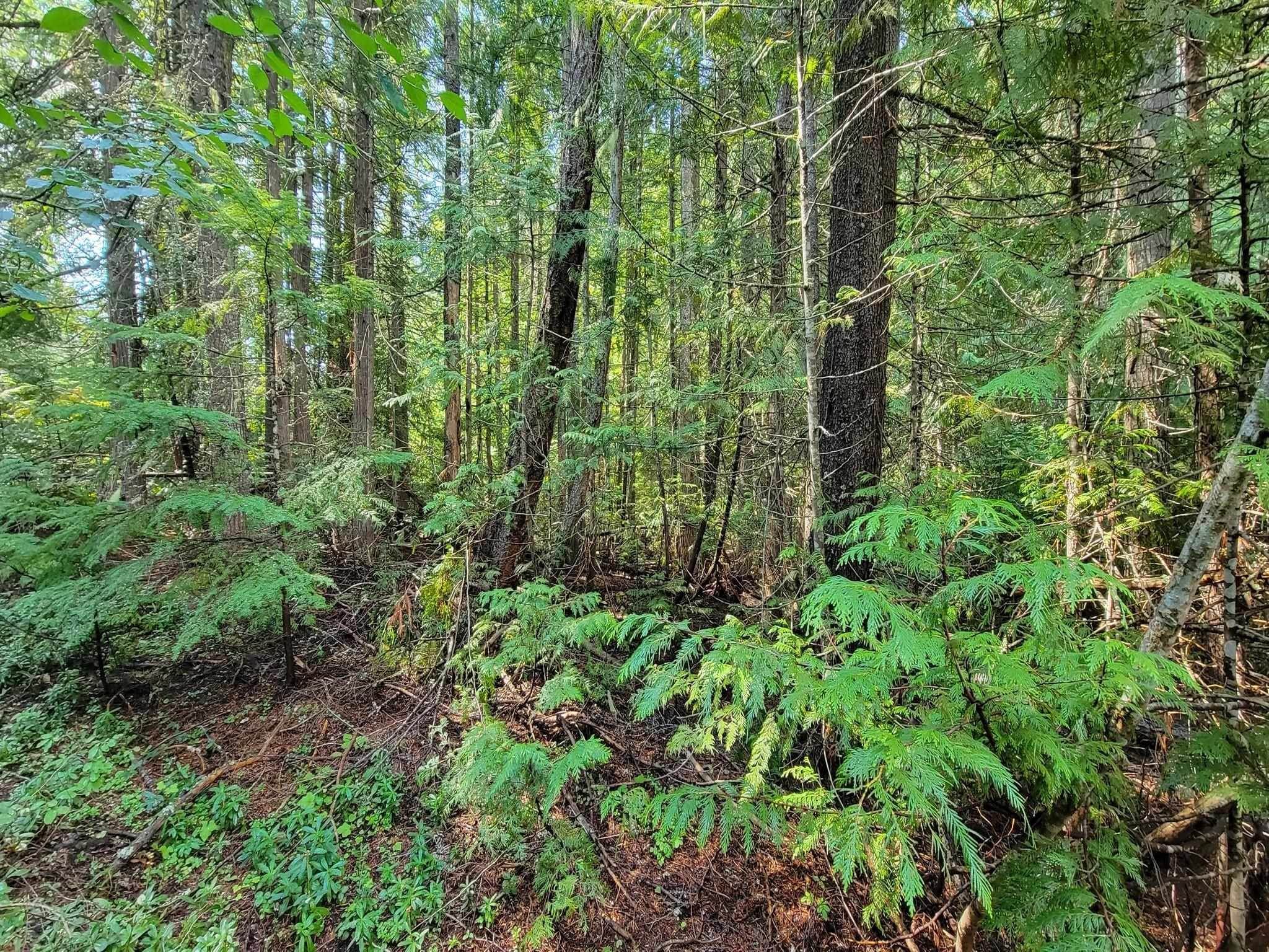 14. Land for Sale at Nkn Wolfe Mtn Road Newport, Washington 99156 United States