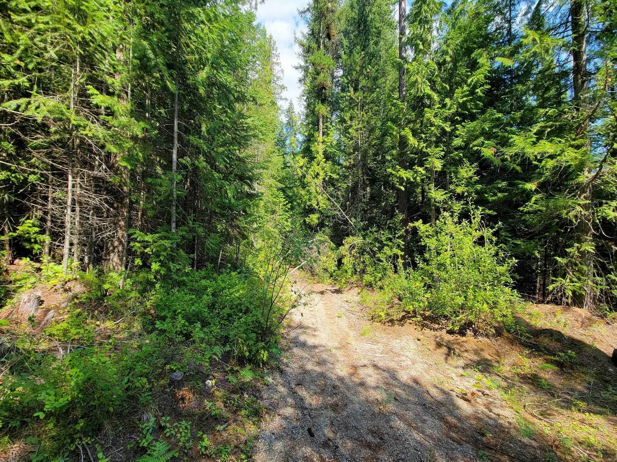 19. Land for Sale at Nkn Wolfe Mtn Road Newport, Washington 99156 United States