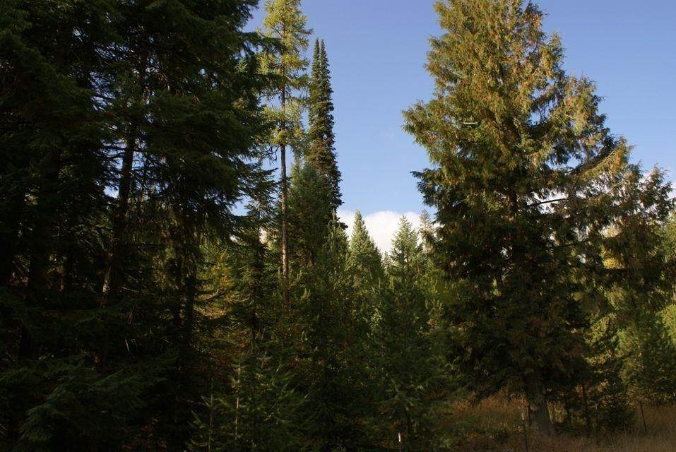 Land for Sale at 18xx #3 N 25 Hwy Evans, Washington 99126 United States