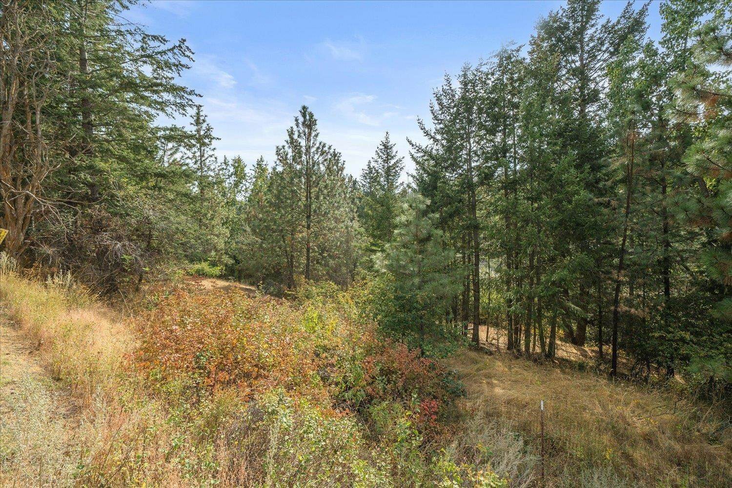 18. Land for Sale at Nka S Cree Road Spokane, Washington 99206 United States