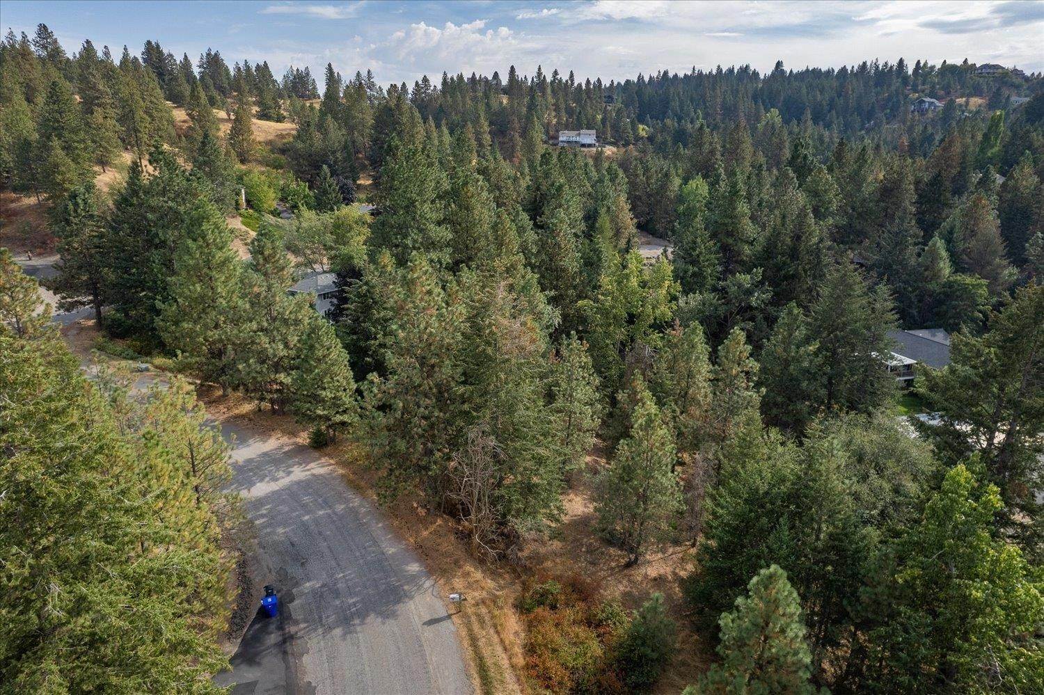 11. Land for Sale at Nka S Cree Road Spokane, Washington 99206 United States