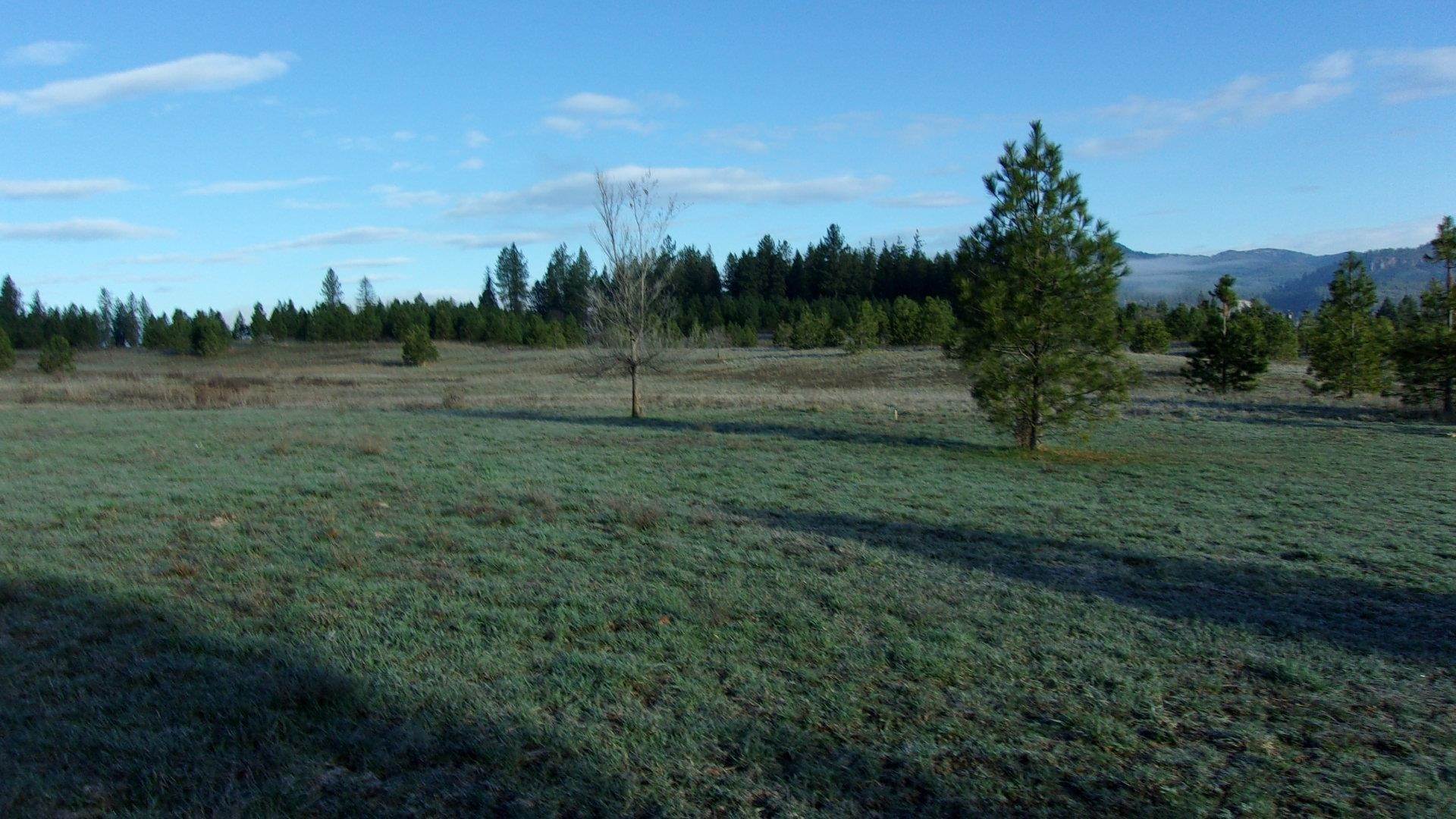 1. Land for Sale at Xxxx Huckleberry Drive Chewelah, Washington 99109 United States