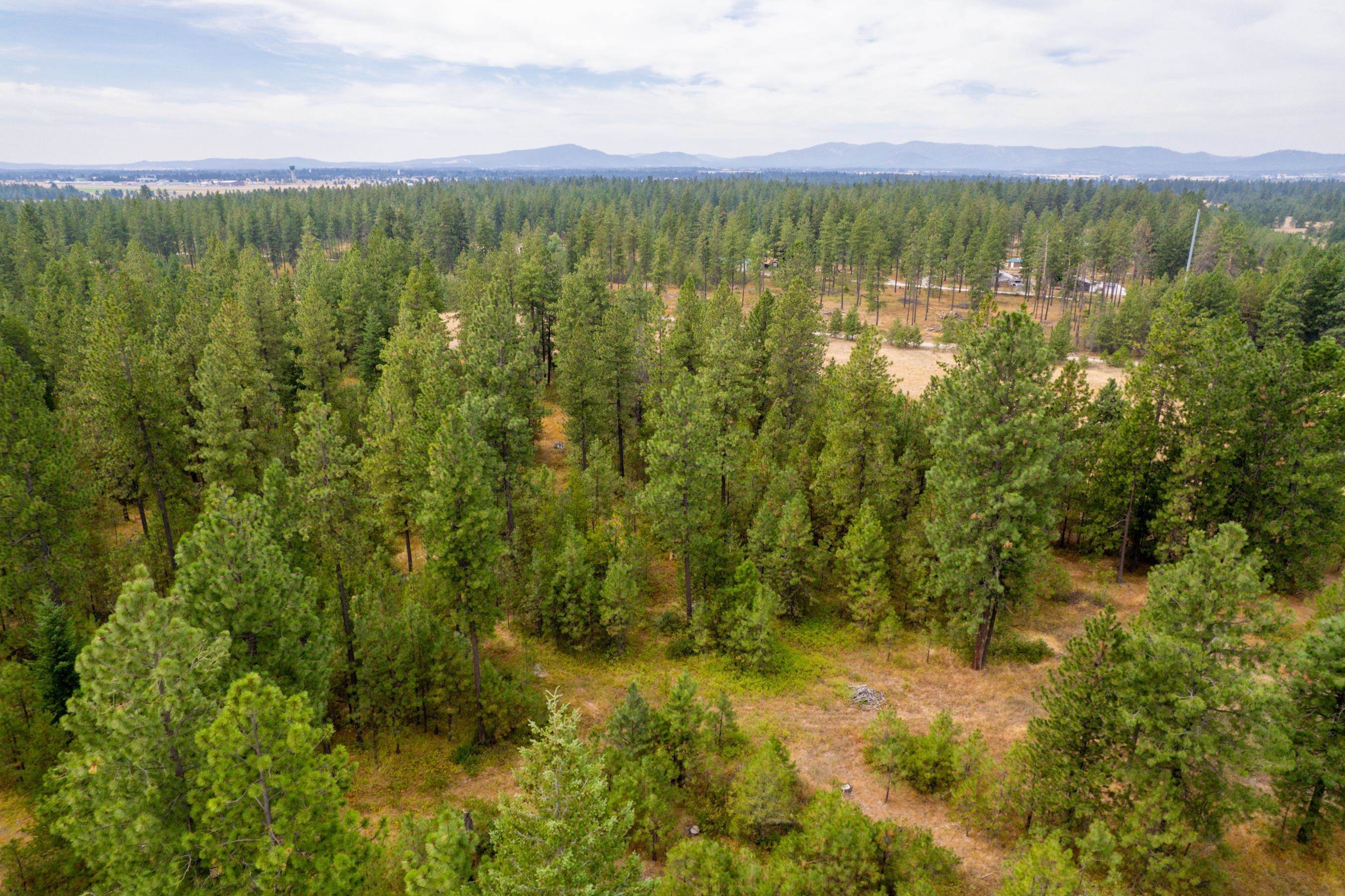 15. Land for Sale at Xx W Montgomery Road Deer Park, Washington 99006 United States