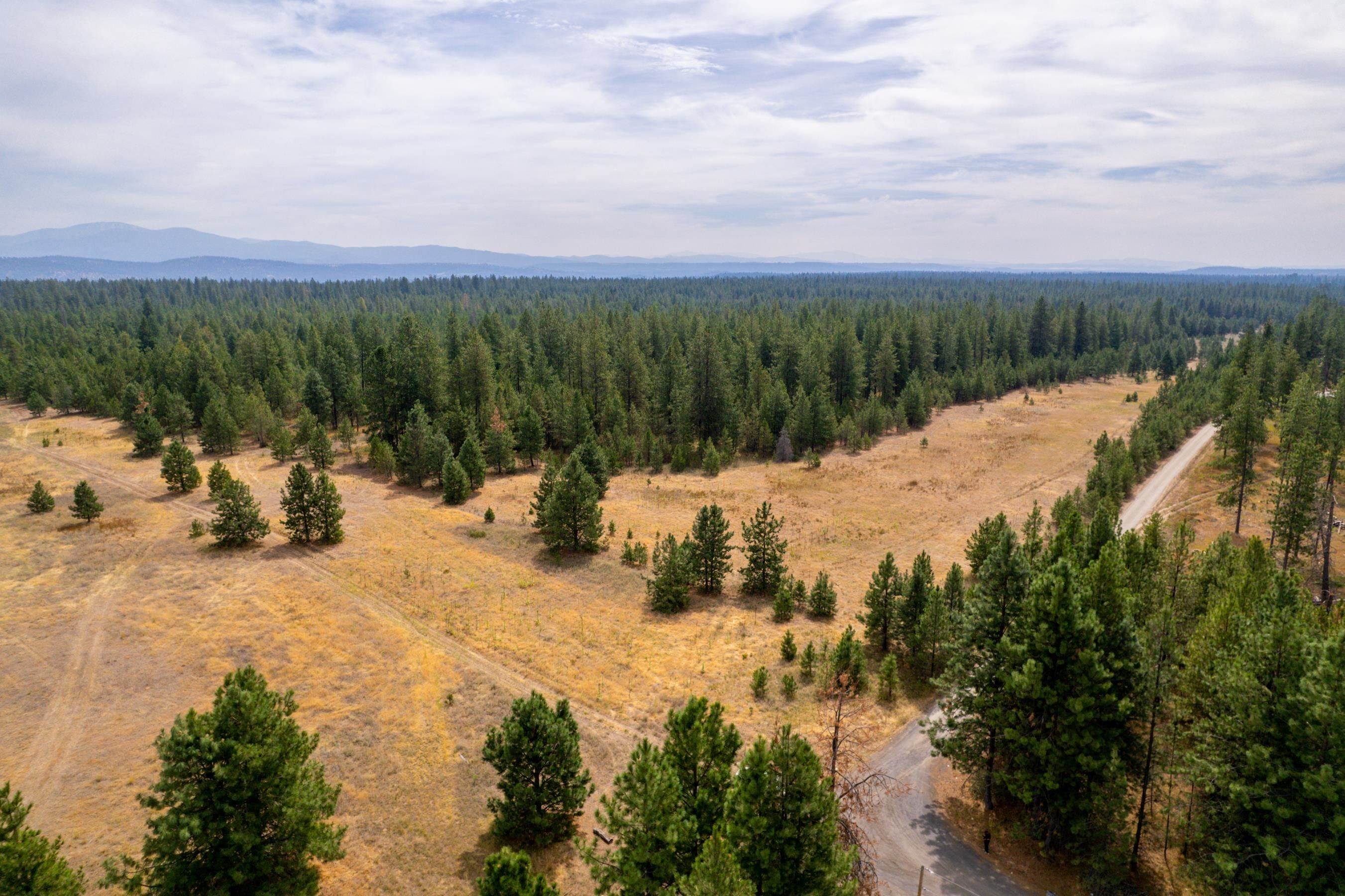 2. Land for Sale at Xx W Montgomery Road Deer Park, Washington 99006 United States