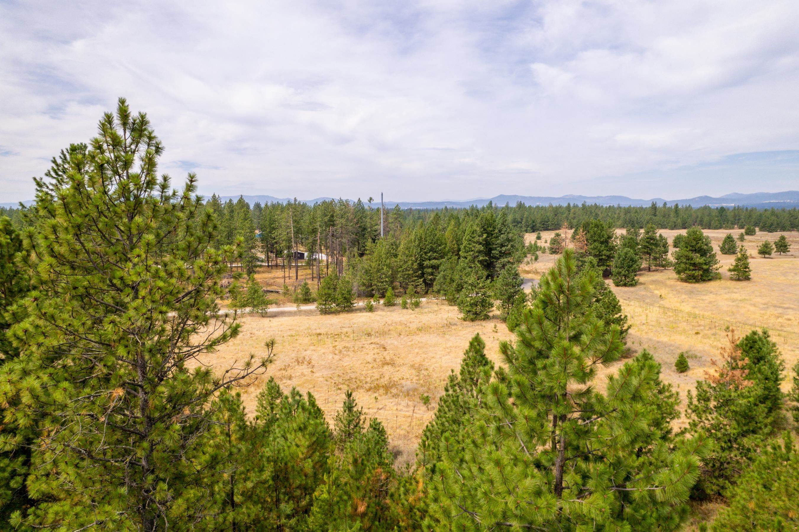 8. Land for Sale at Xx W Montgomery Road Deer Park, Washington 99006 United States
