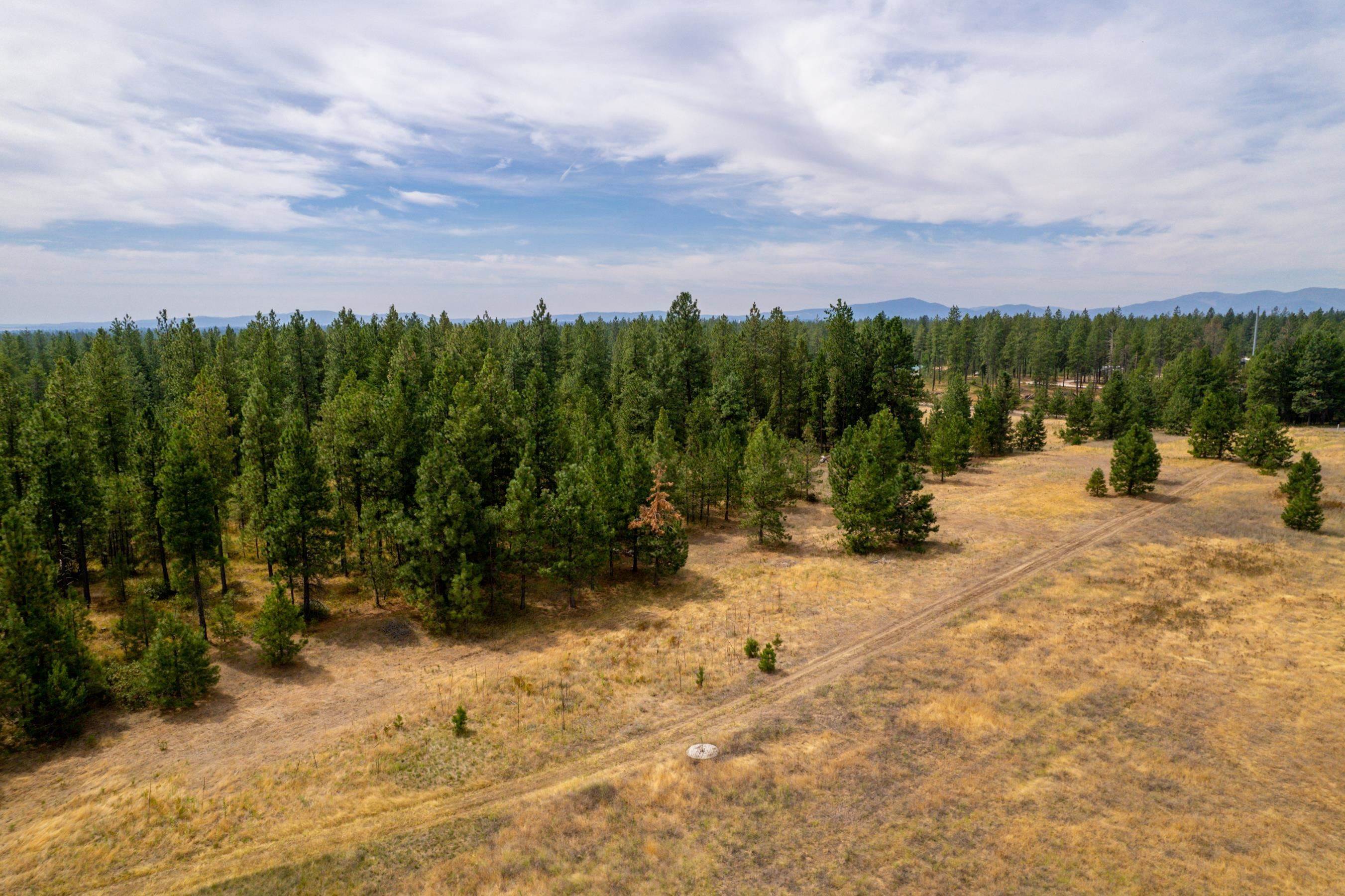 4. Land for Sale at Xx W Montgomery Road Deer Park, Washington 99006 United States