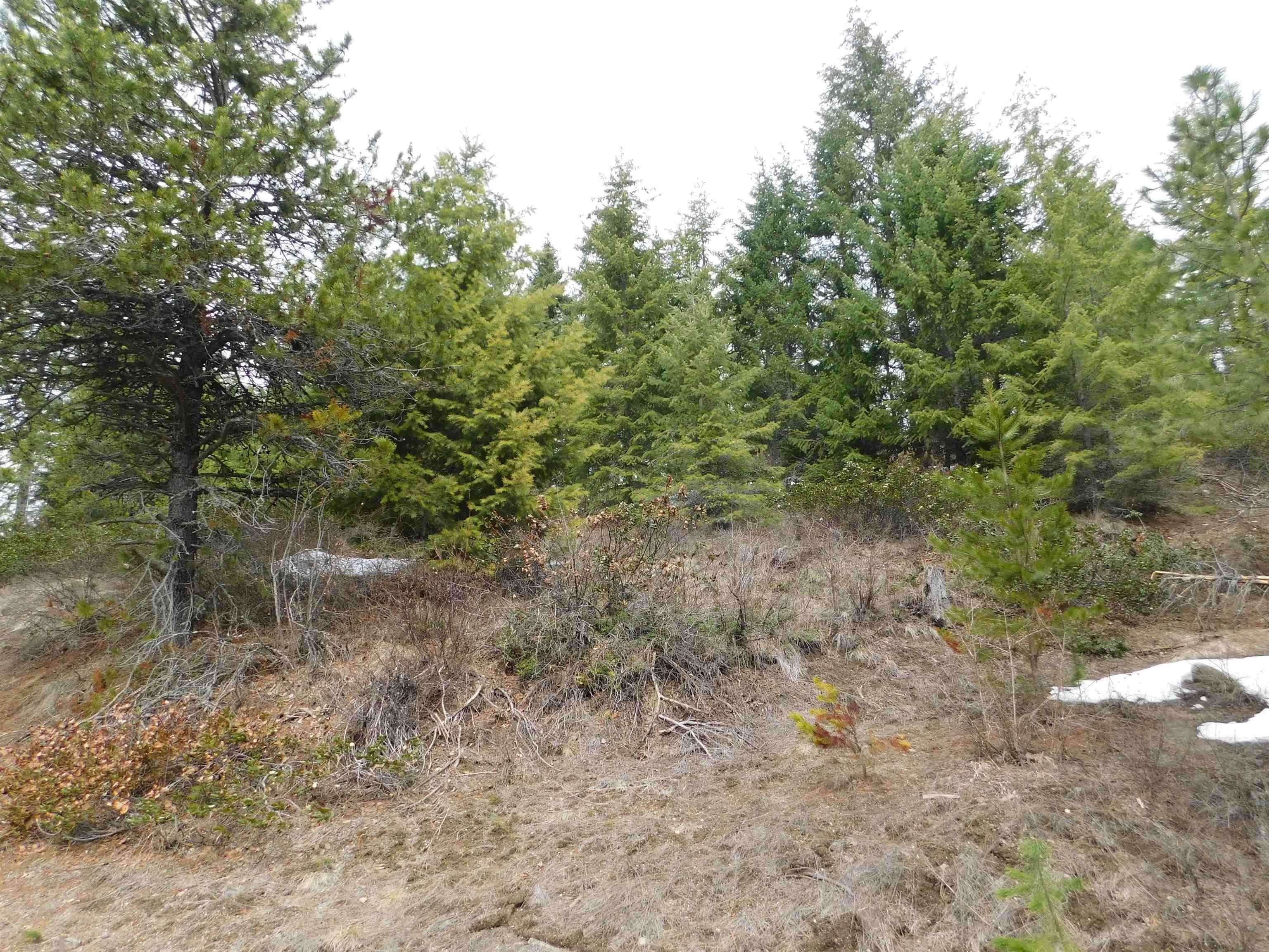 5. Land for Sale at Xoxo Deer Valley Road Newport, Washington 99156 United States