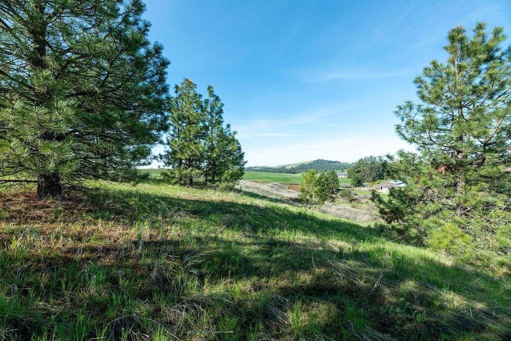 15. Land for Sale at Unknown Lot 27 Orchard Heights Drive Spokane, Washington 99004 United States