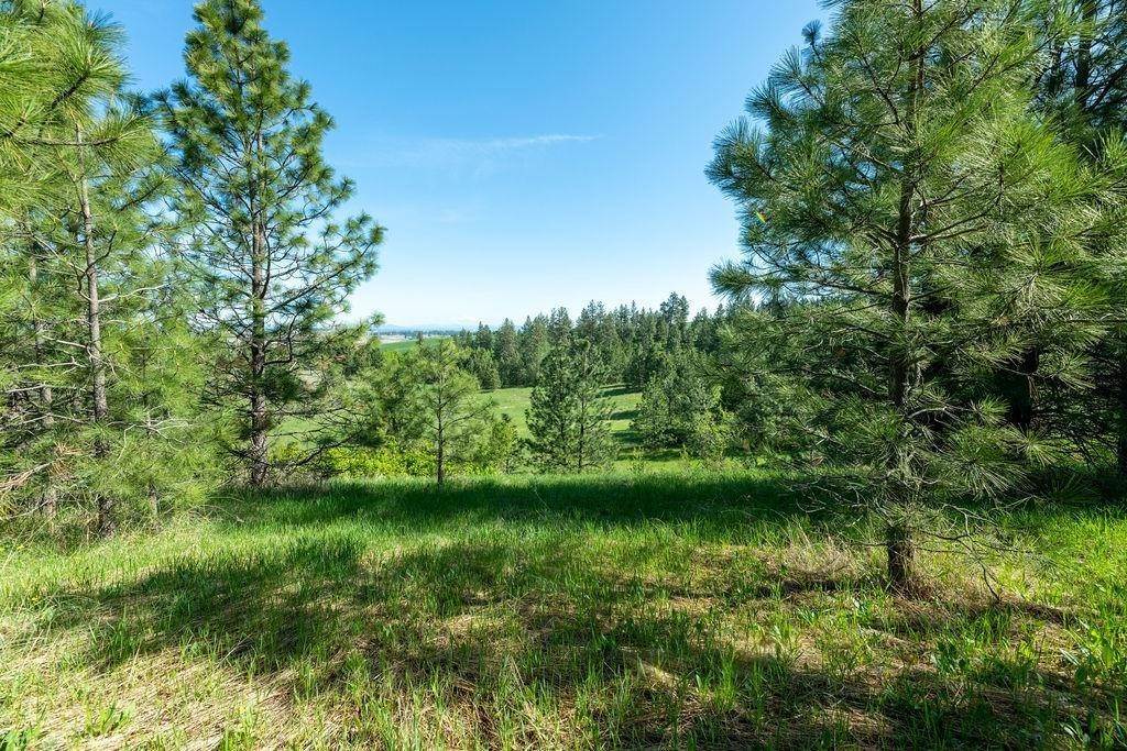 17. Land for Sale at Unknown Lot 27 Orchard Heights Drive Spokane, Washington 99004 United States