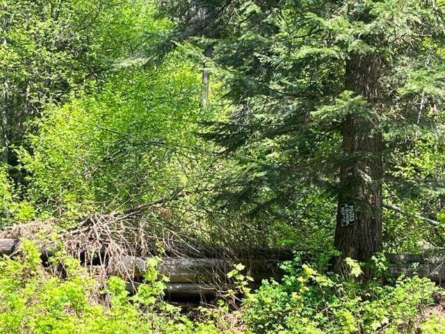 5. Land for Sale at 2024-Tbd Summit Valley Road Addy, Washington 99101 United States
